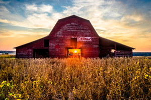 red barn in a field at sunset